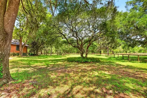 11630 SE 78th Street Morriston FL 32668