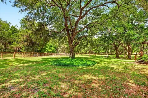 11630 SE 78th Street Morriston FL 32668