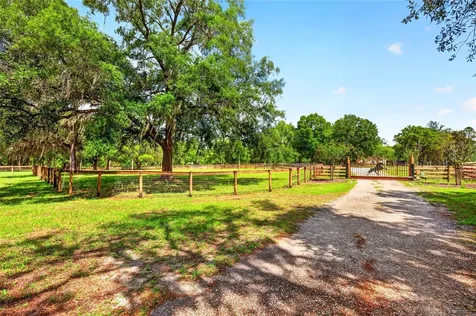 11630 SE 78th Street Morriston FL 32668
