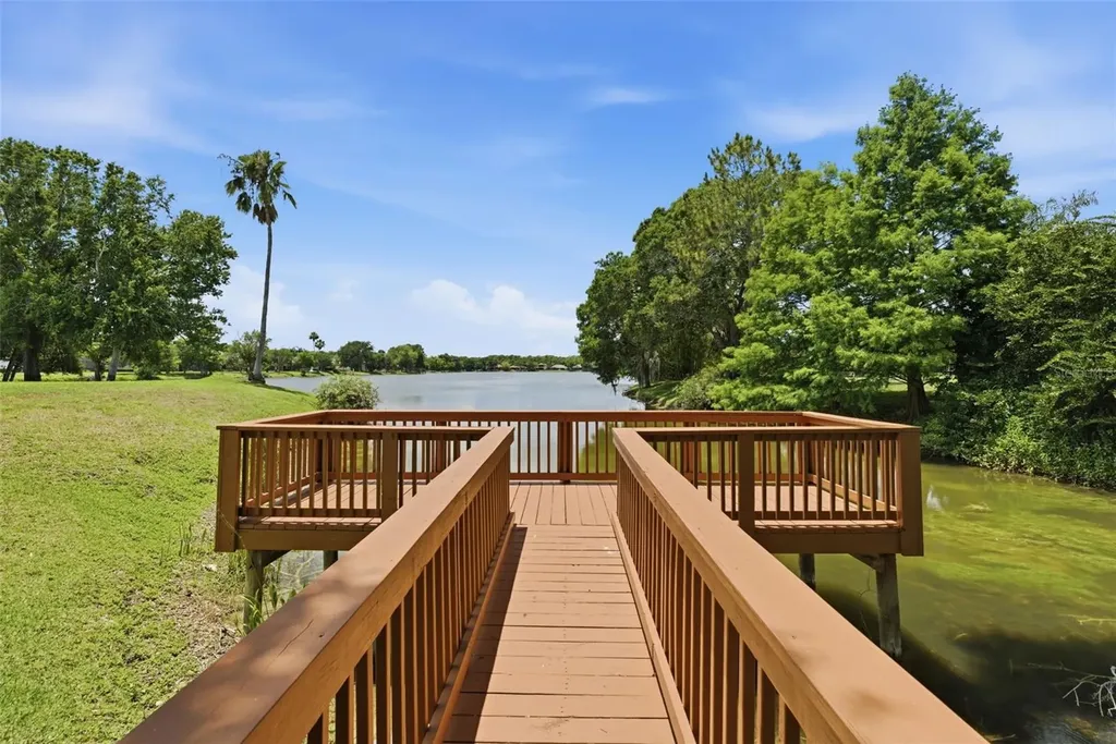 9409 Tree Tops Lake Road Tampa FL 33626