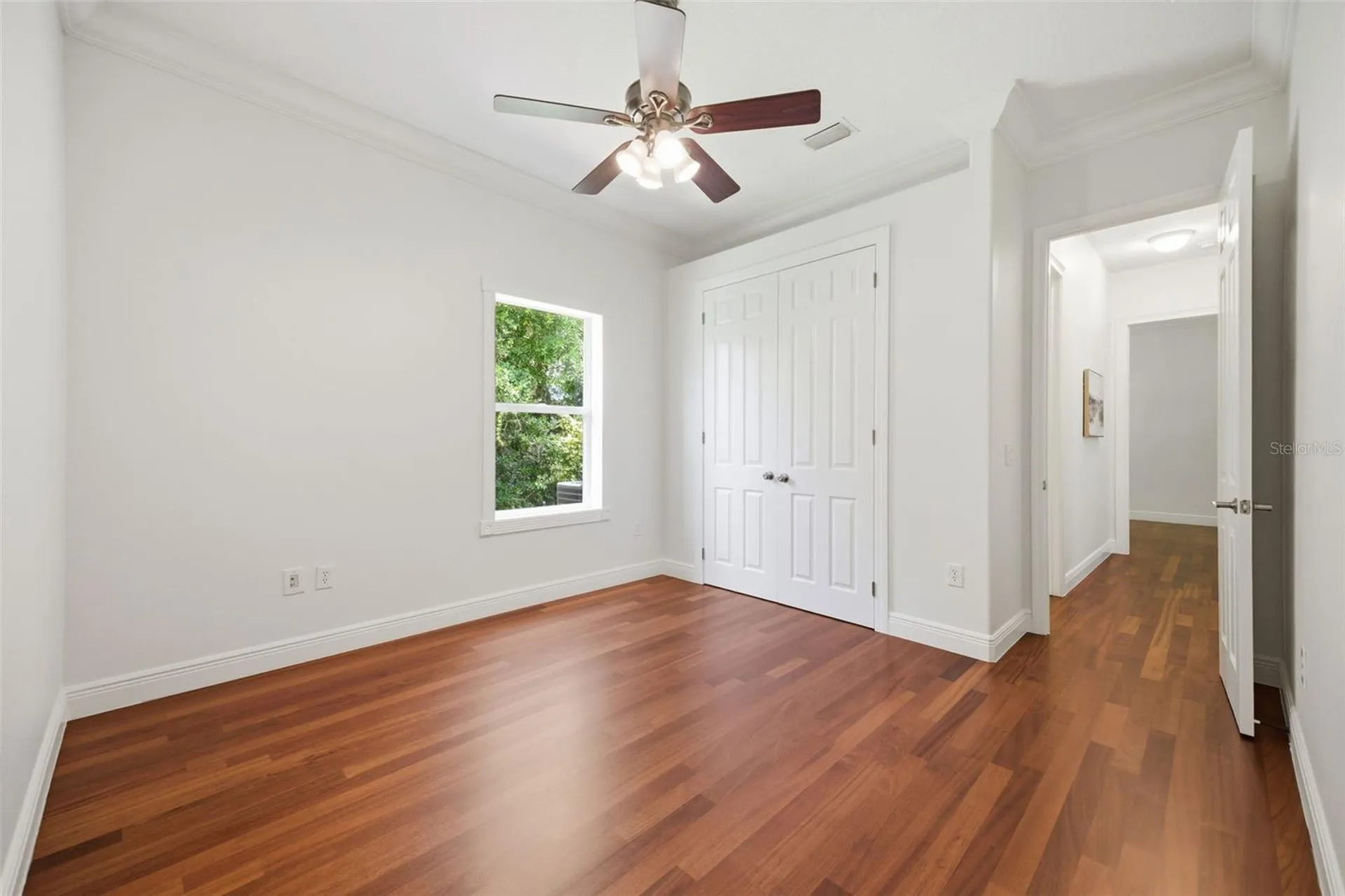 9409 Tree Tops Lake Road Tampa FL 33626