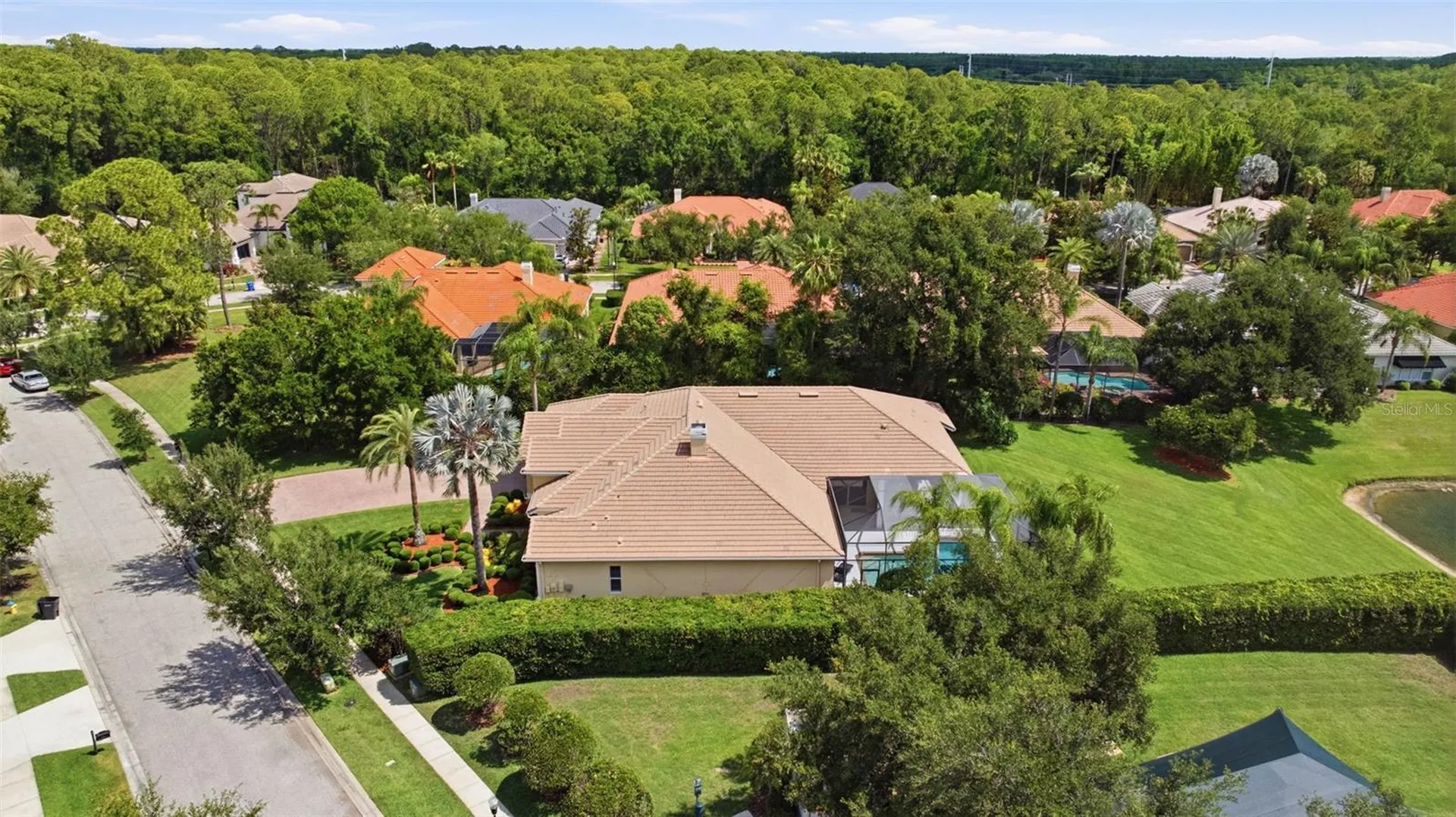 9409 Tree Tops Lake Road Tampa FL 33626