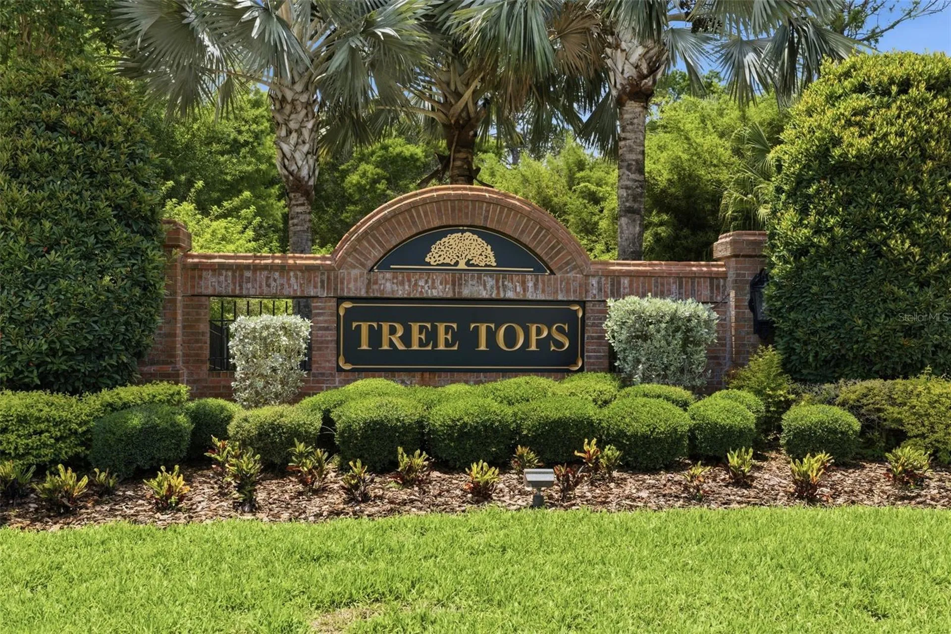 9409 Tree Tops Lake Road Tampa FL 33626