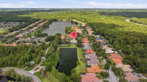 9409 Tree Tops Lake Road Tampa FL 33626