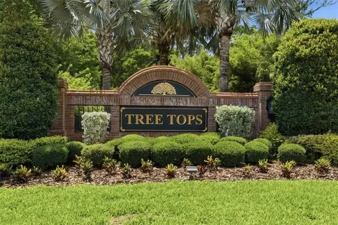 9409 Tree Tops Lake Road Tampa FL 33626
