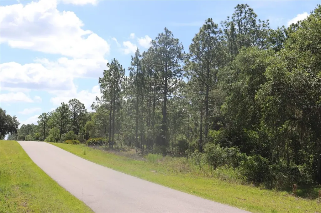 Tbd SE 114th Place Dunnellon FL 34431