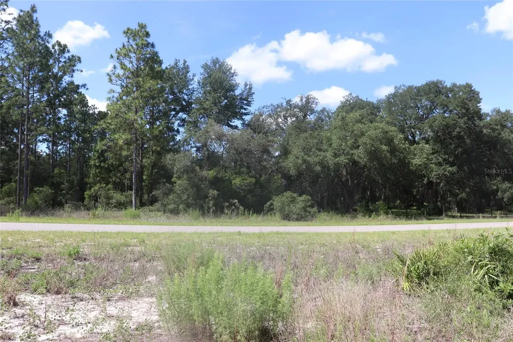Tbd SE 114th Place Dunnellon FL 34431