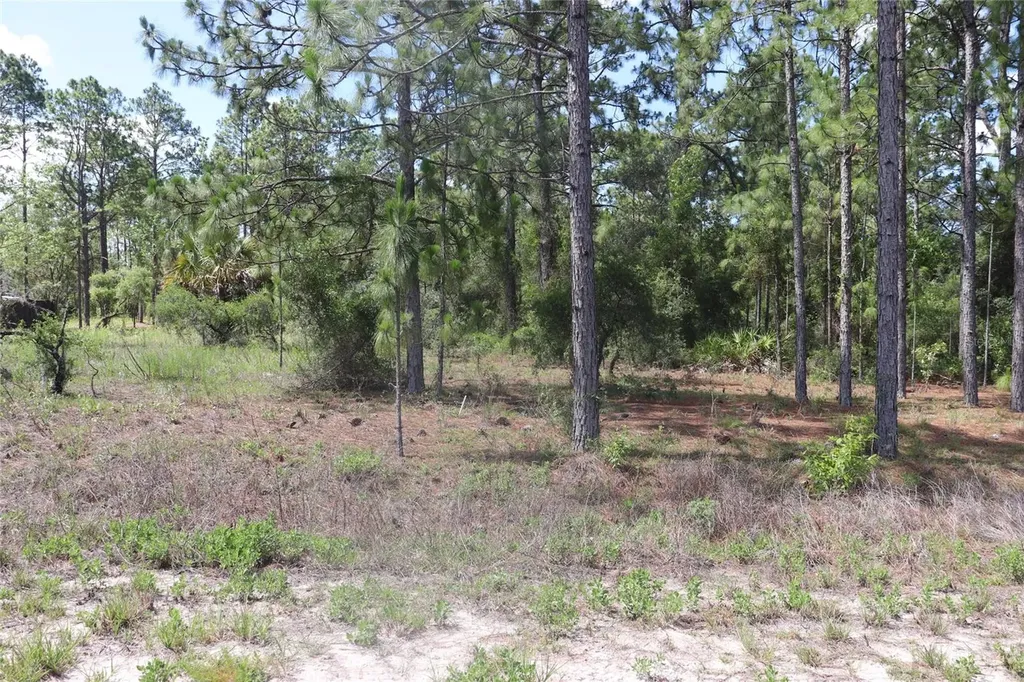 Tbd SE 114th Place Dunnellon FL 34431