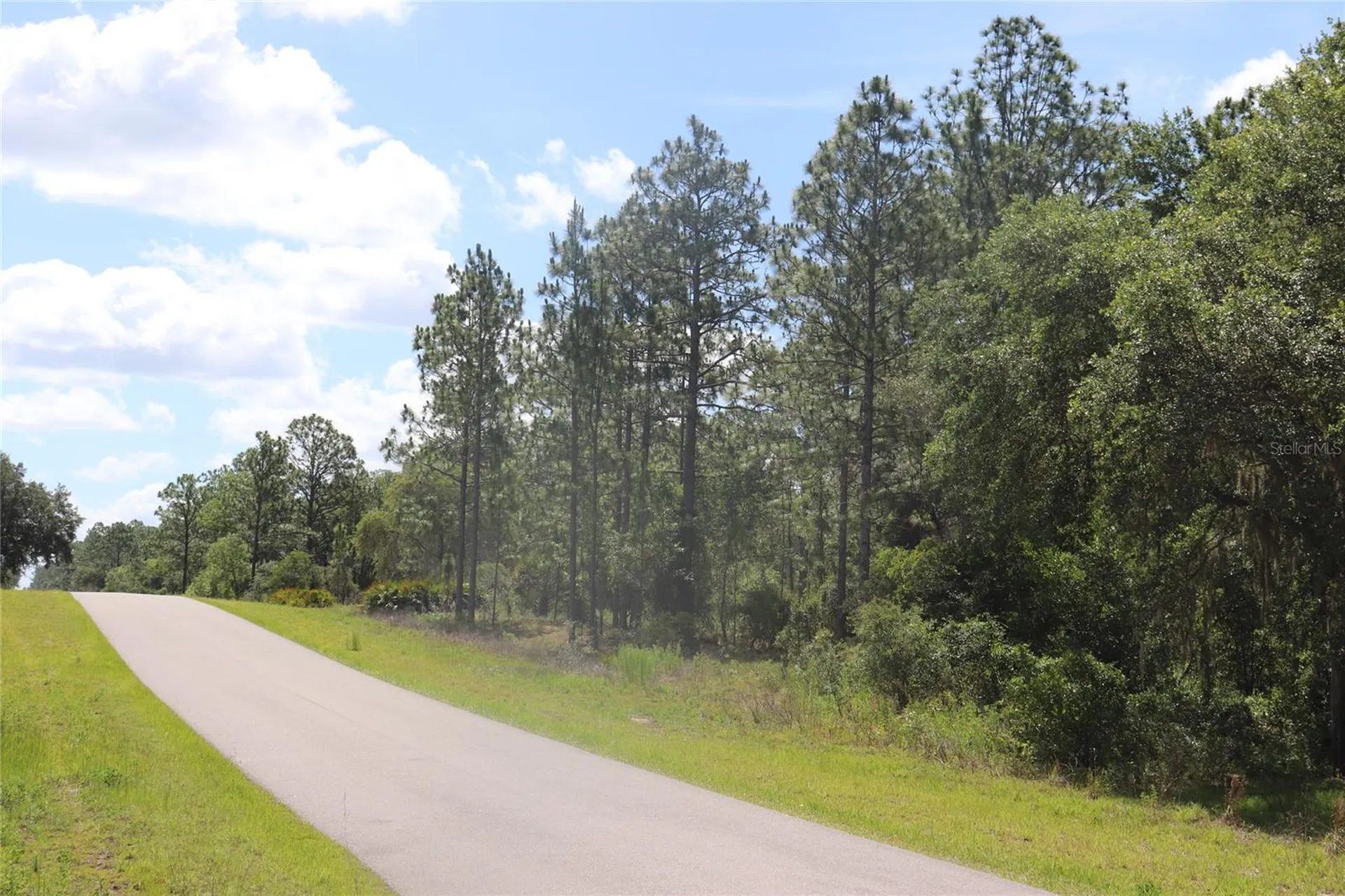 Tbd SE 114th Place Dunnellon FL 34431