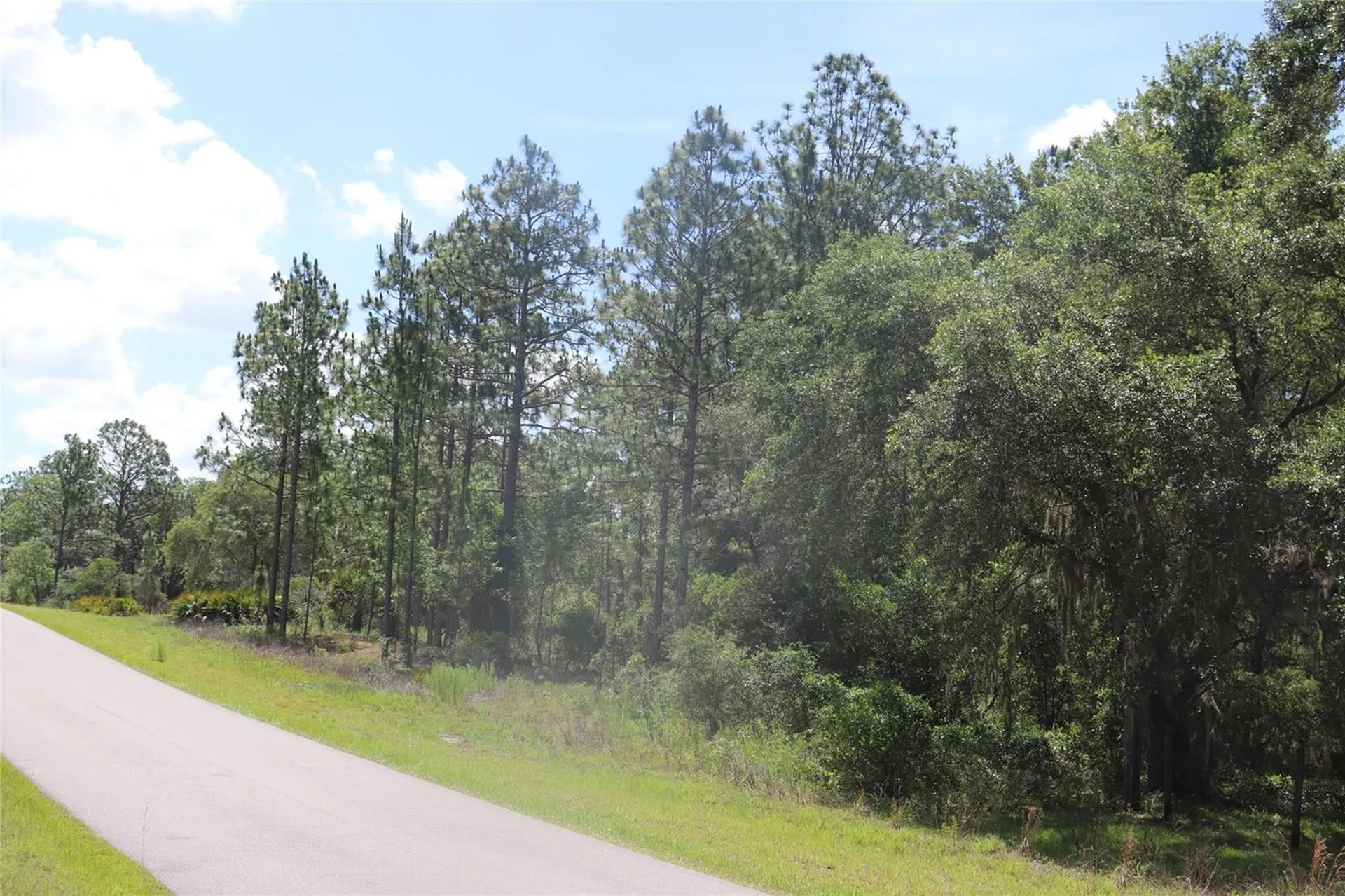 Tbd SE 114th Place Dunnellon FL 34431