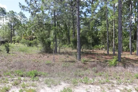 Tbd SE 114th Place Dunnellon FL 34431