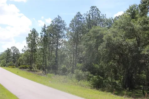 Tbd SE 114th Place Dunnellon FL 34431