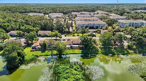 14806 Morning Drive Lutz FL 33559