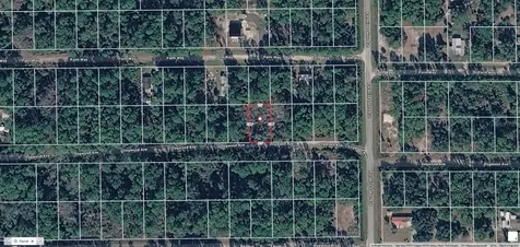 224 Dogwood Avenue Georgetown FL 32139