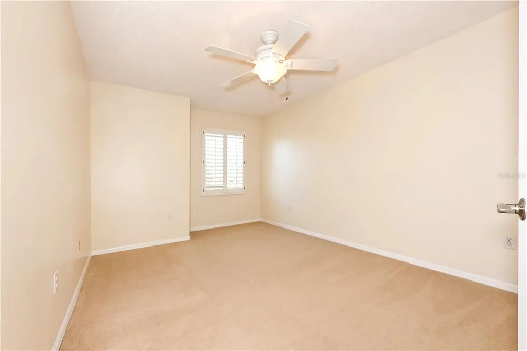 4906 Augusta Avenue Oldsmar FL 34677