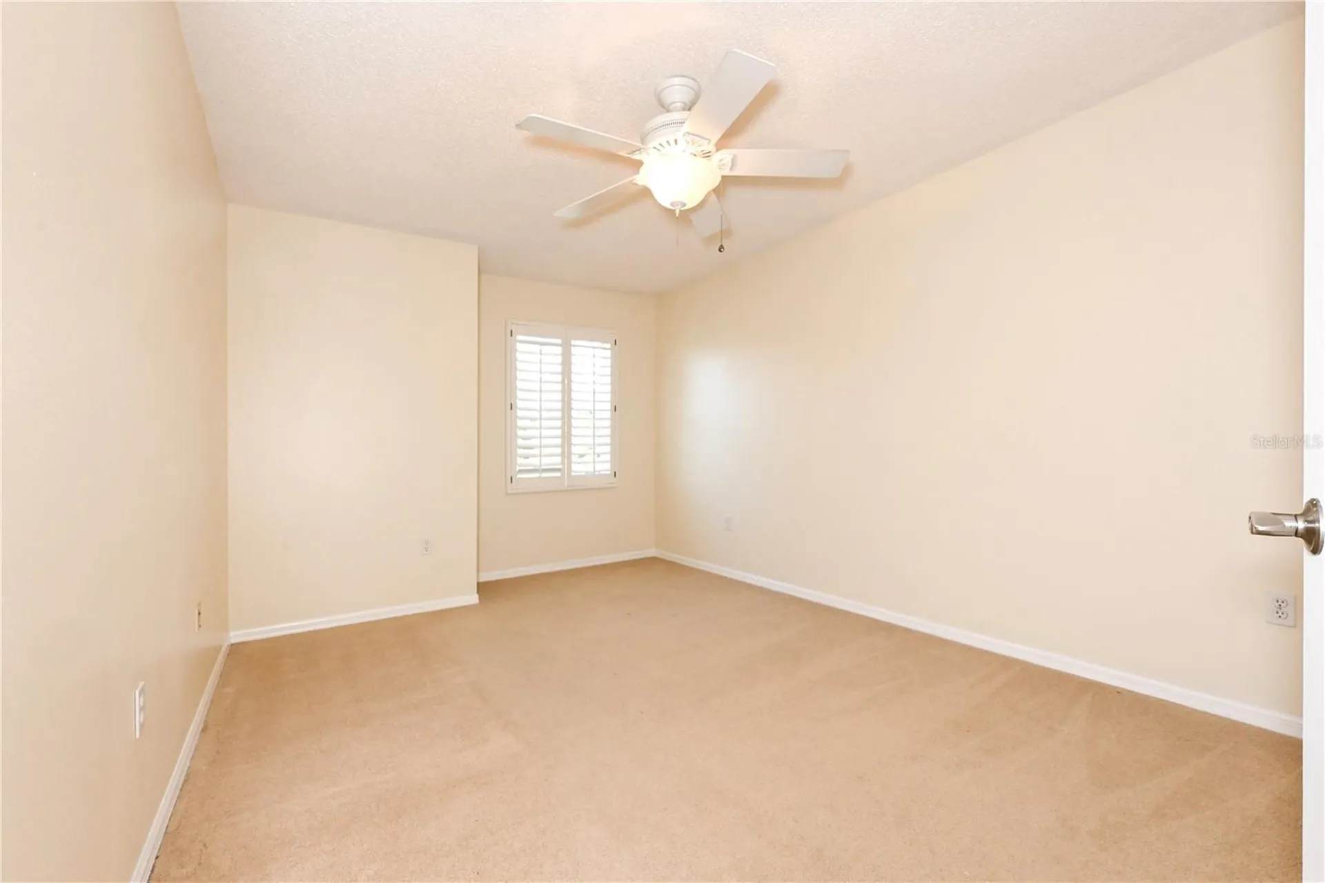 4906 Augusta Avenue Oldsmar FL 34677