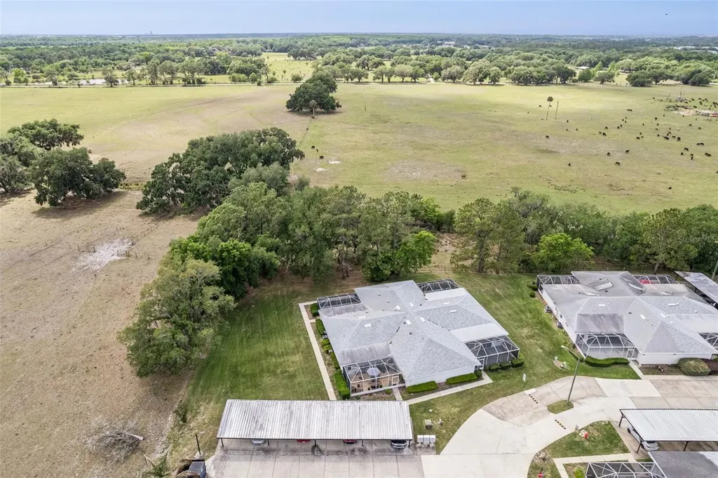 2993 Poplar Avenue Leesburg FL 34748