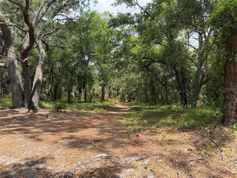 Lot 8 & 9 Nutmeg Avenue Sarasota FL 34231