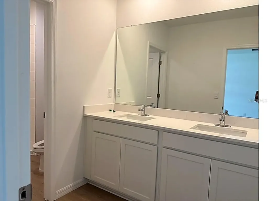 32492 Welling Blade Loop Wesley Chapel FL 33545