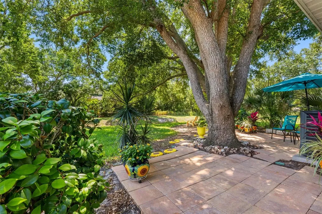 1150 Orange Tree Circle E Palm Harbor FL 34684