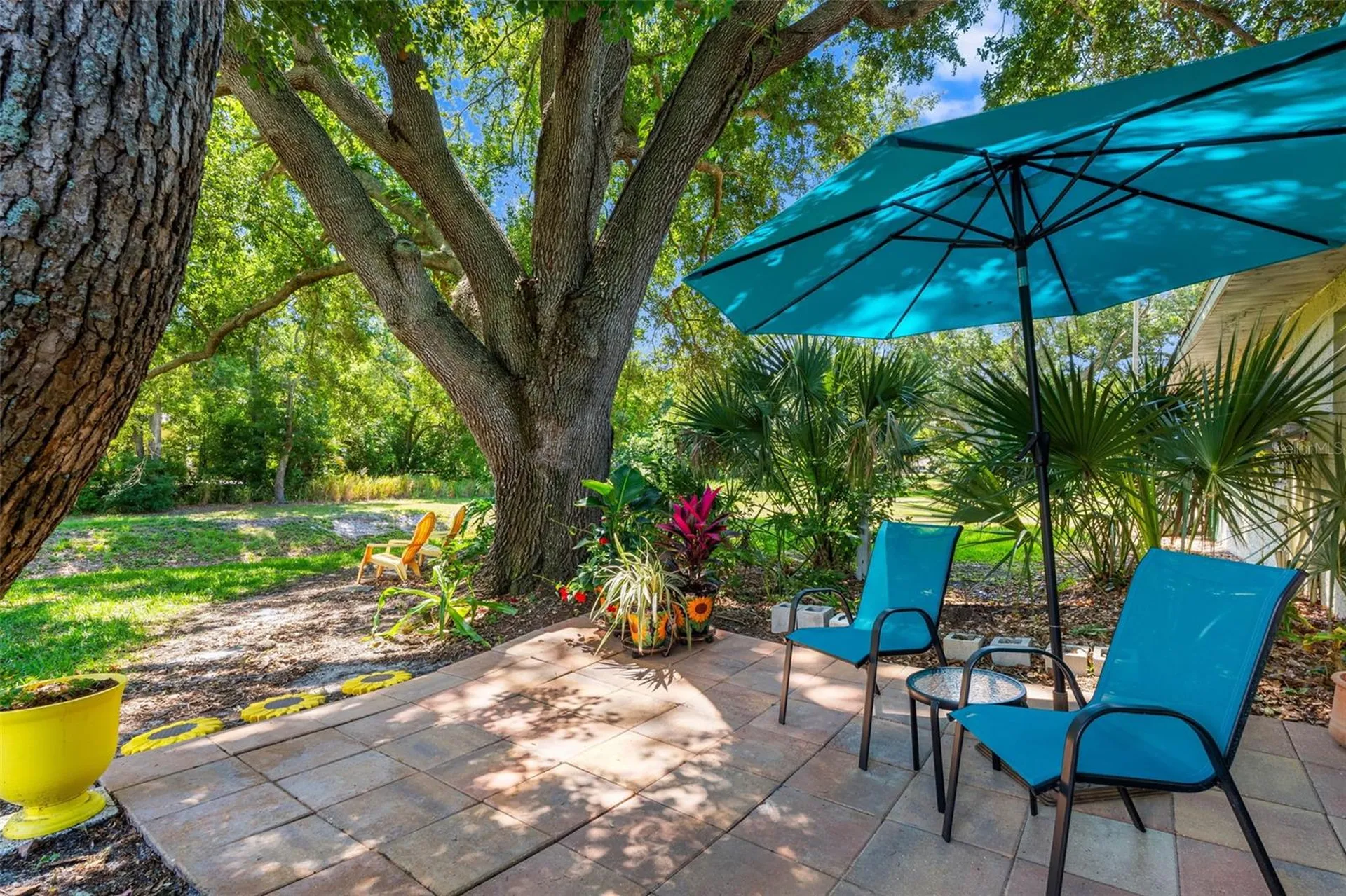1150 Orange Tree Circle E Palm Harbor FL 34684