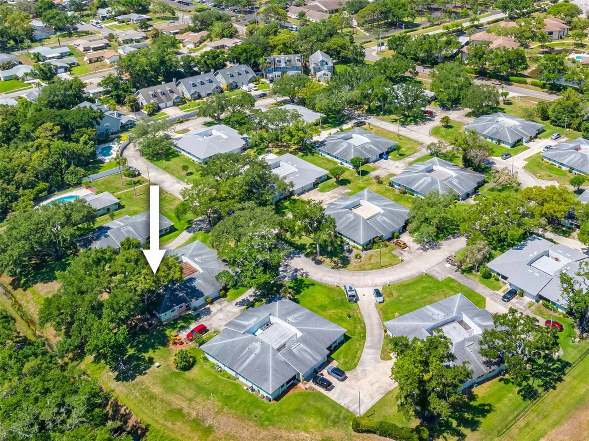 1150 Orange Tree Circle E Palm Harbor FL 34684