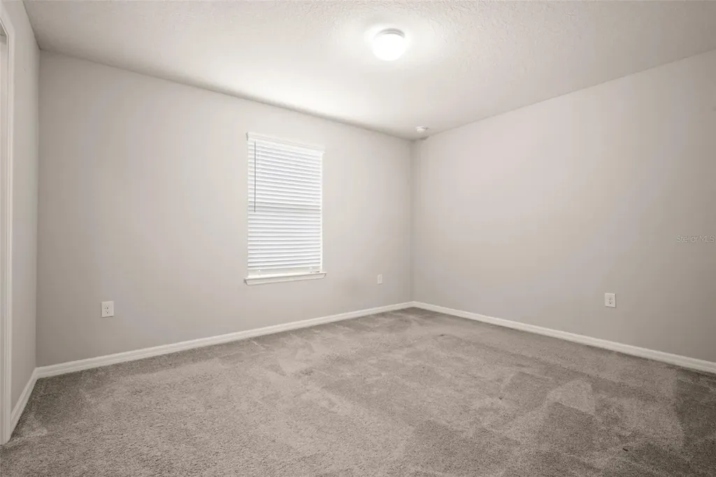 18929 Birchwood Groves Drive Lutz FL 33558