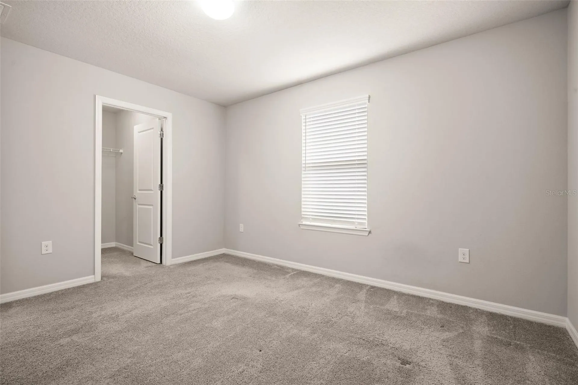 18929 Birchwood Groves Drive Lutz FL 33558