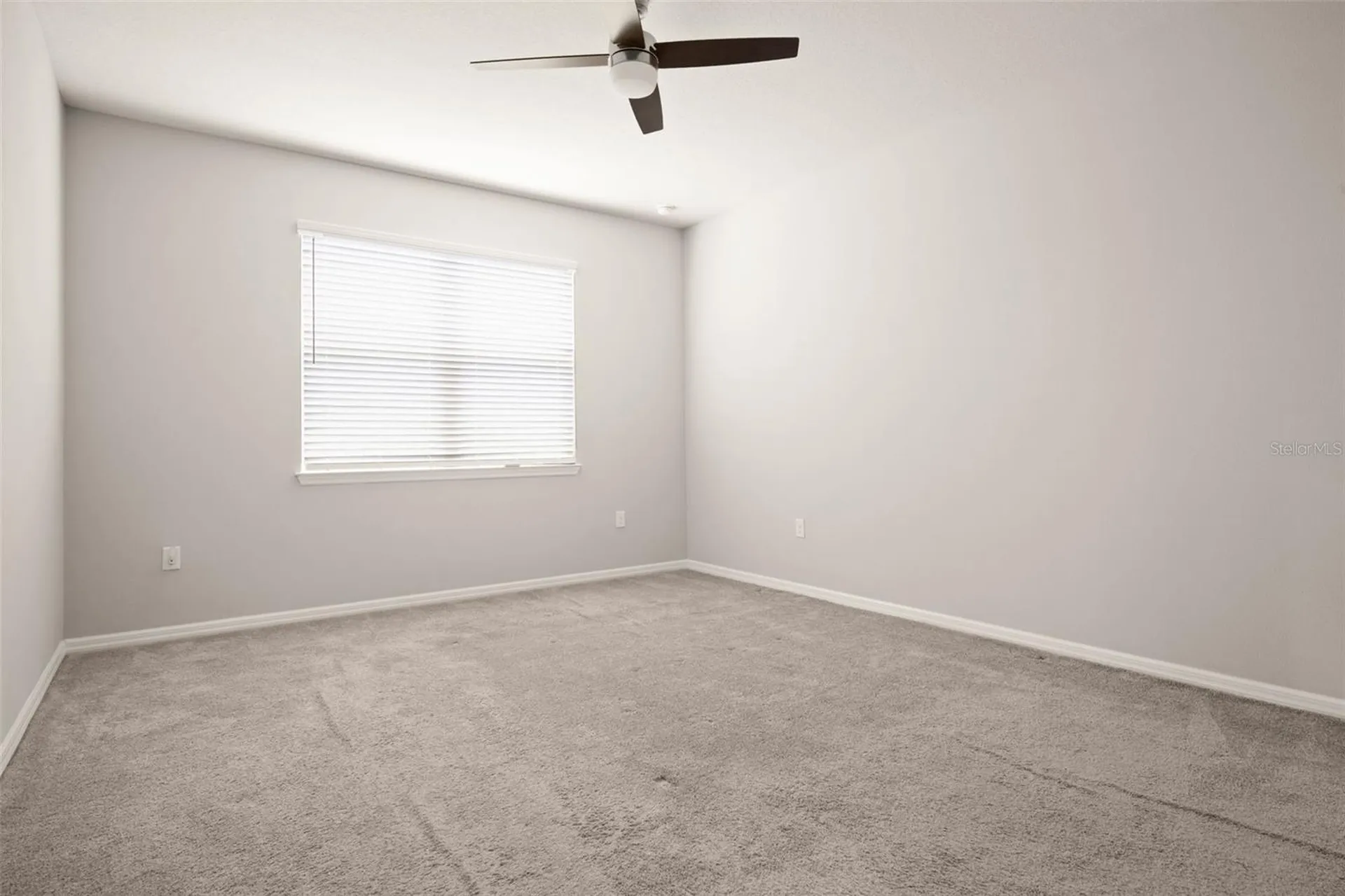 18929 Birchwood Groves Drive Lutz FL 33558