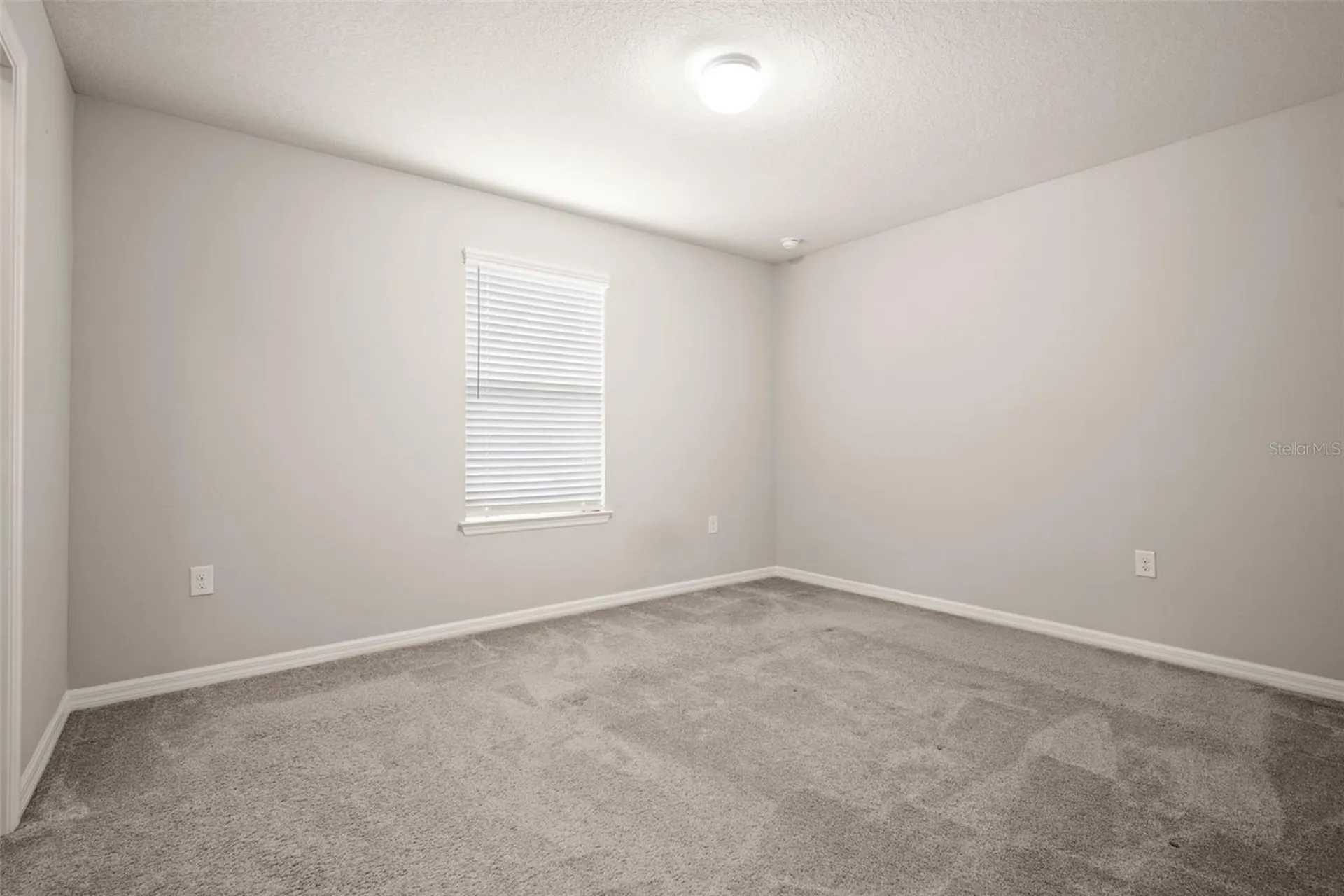 18929 Birchwood Groves Drive Lutz FL 33558