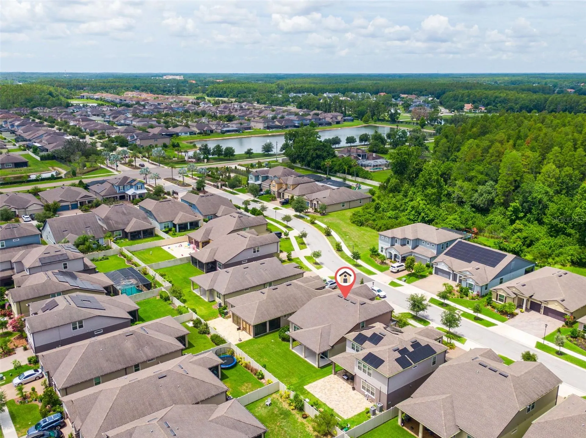 18929 Birchwood Groves Drive Lutz FL 33558