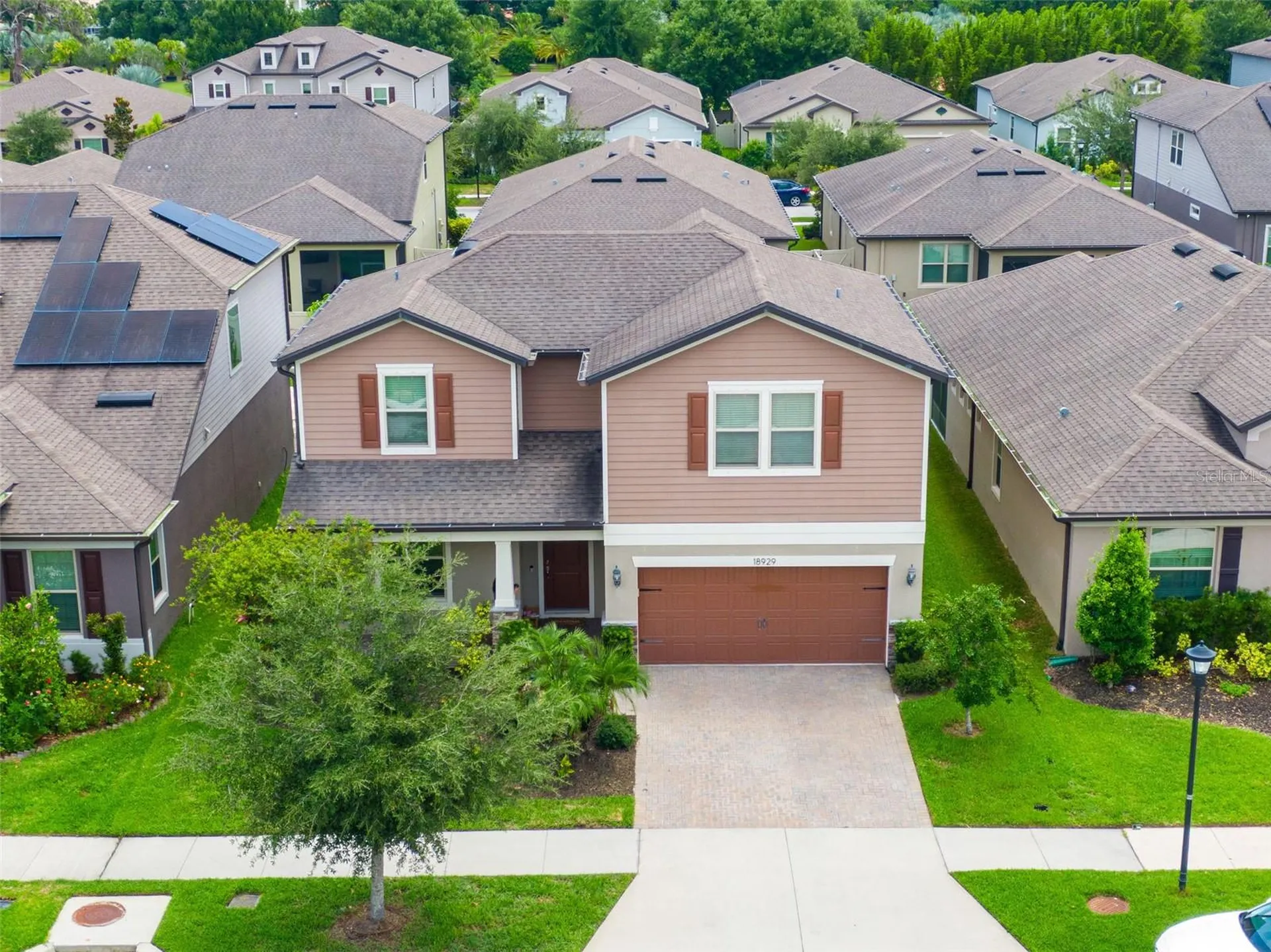 18929 Birchwood Groves Drive Lutz FL 33558