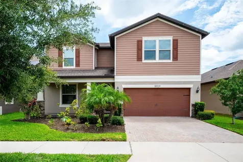 18929 Birchwood Groves Drive Lutz FL 33558