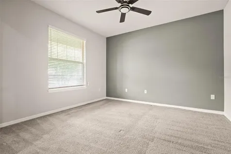 18929 Birchwood Groves Drive Lutz FL 33558