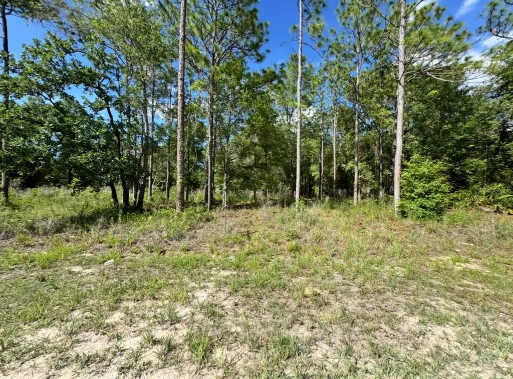 15570 Cliff Swallow Road Weeki Wachee FL 34614