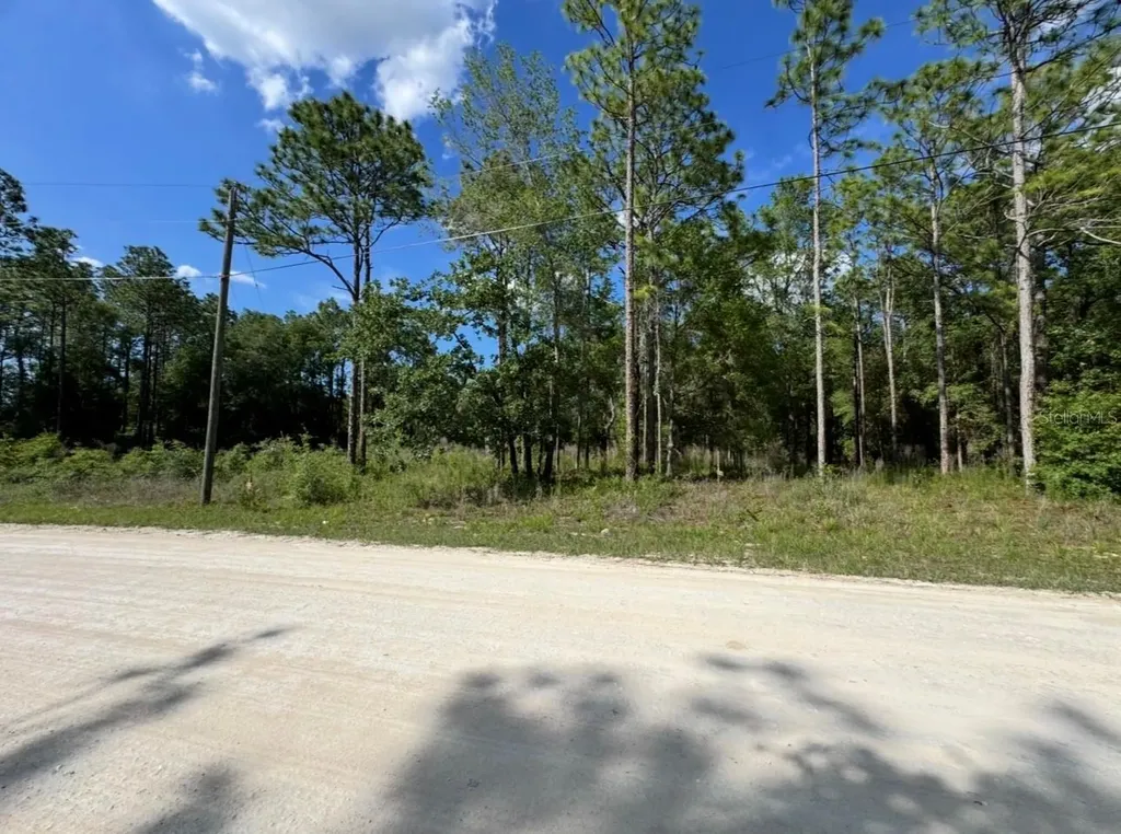 15570 Cliff Swallow Road Weeki Wachee FL 34614