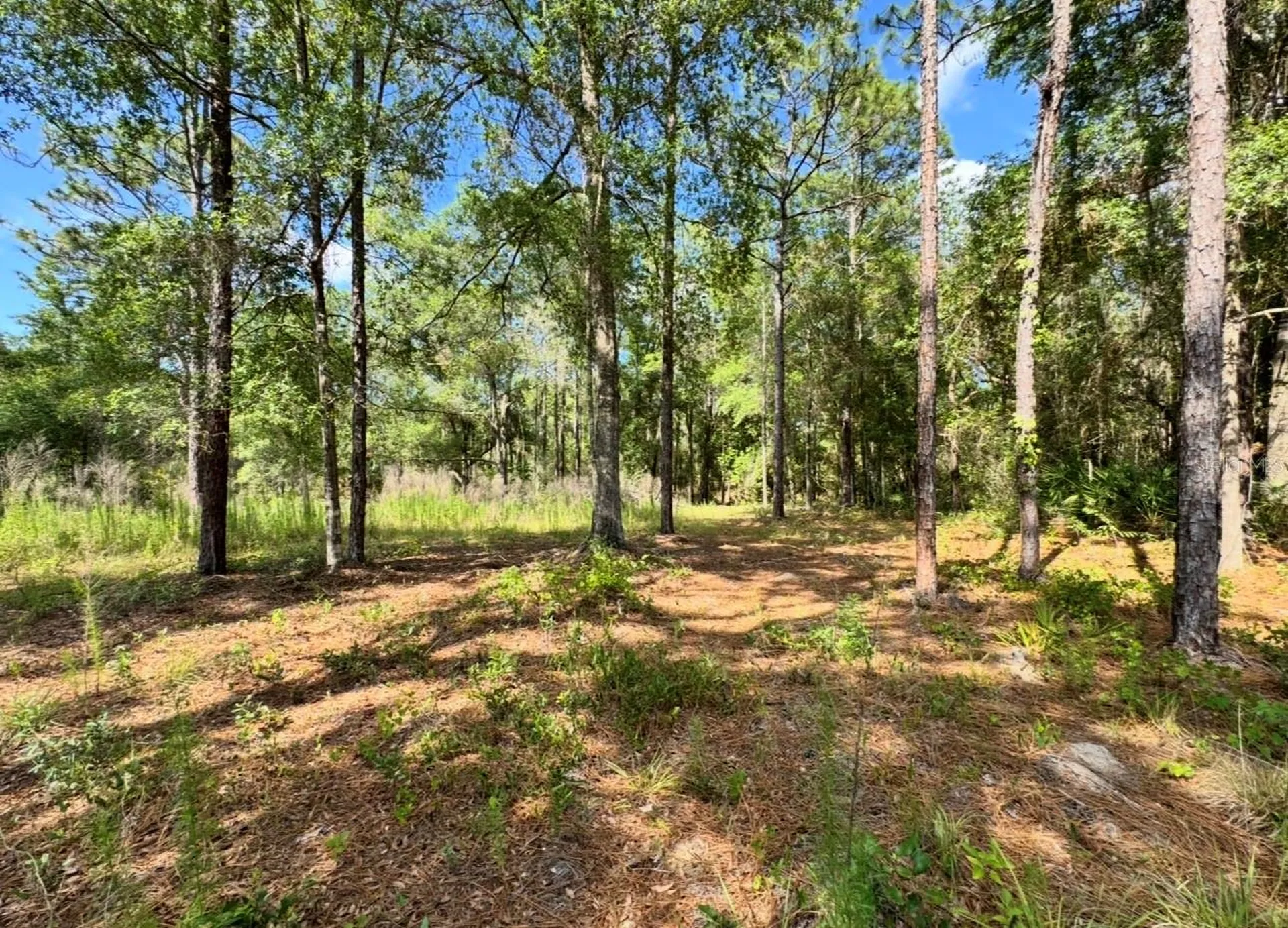 15570 Cliff Swallow Road Weeki Wachee FL 34614
