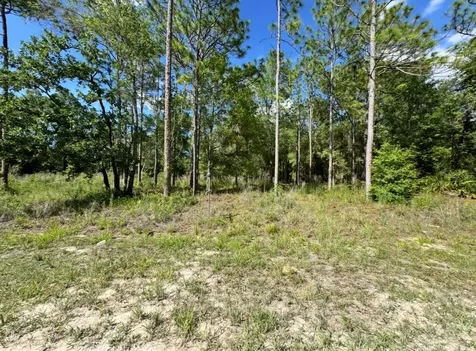 15570 Cliff Swallow Road Weeki Wachee FL 34614