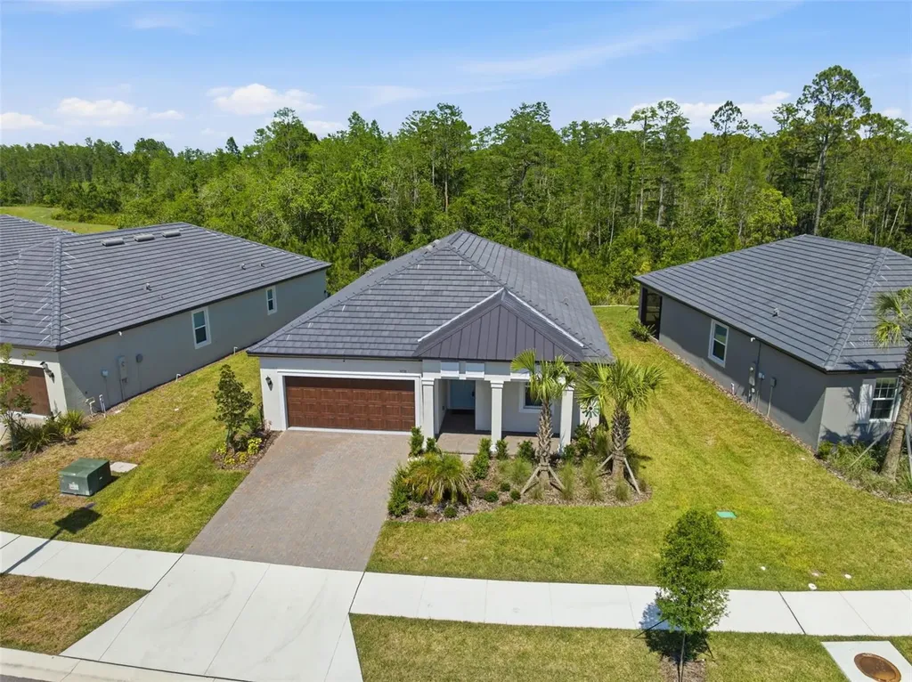 9776 Minnow Ray Drive Land O Lakes FL 34638