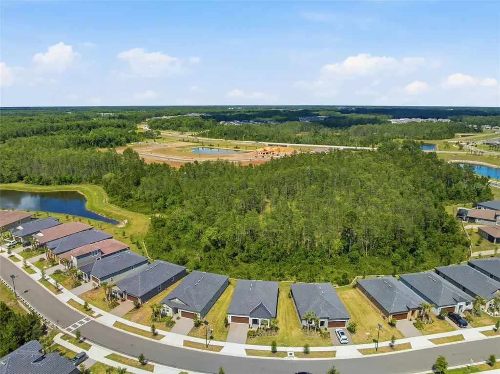 9776 Minnow Ray Drive Land O Lakes FL 34638