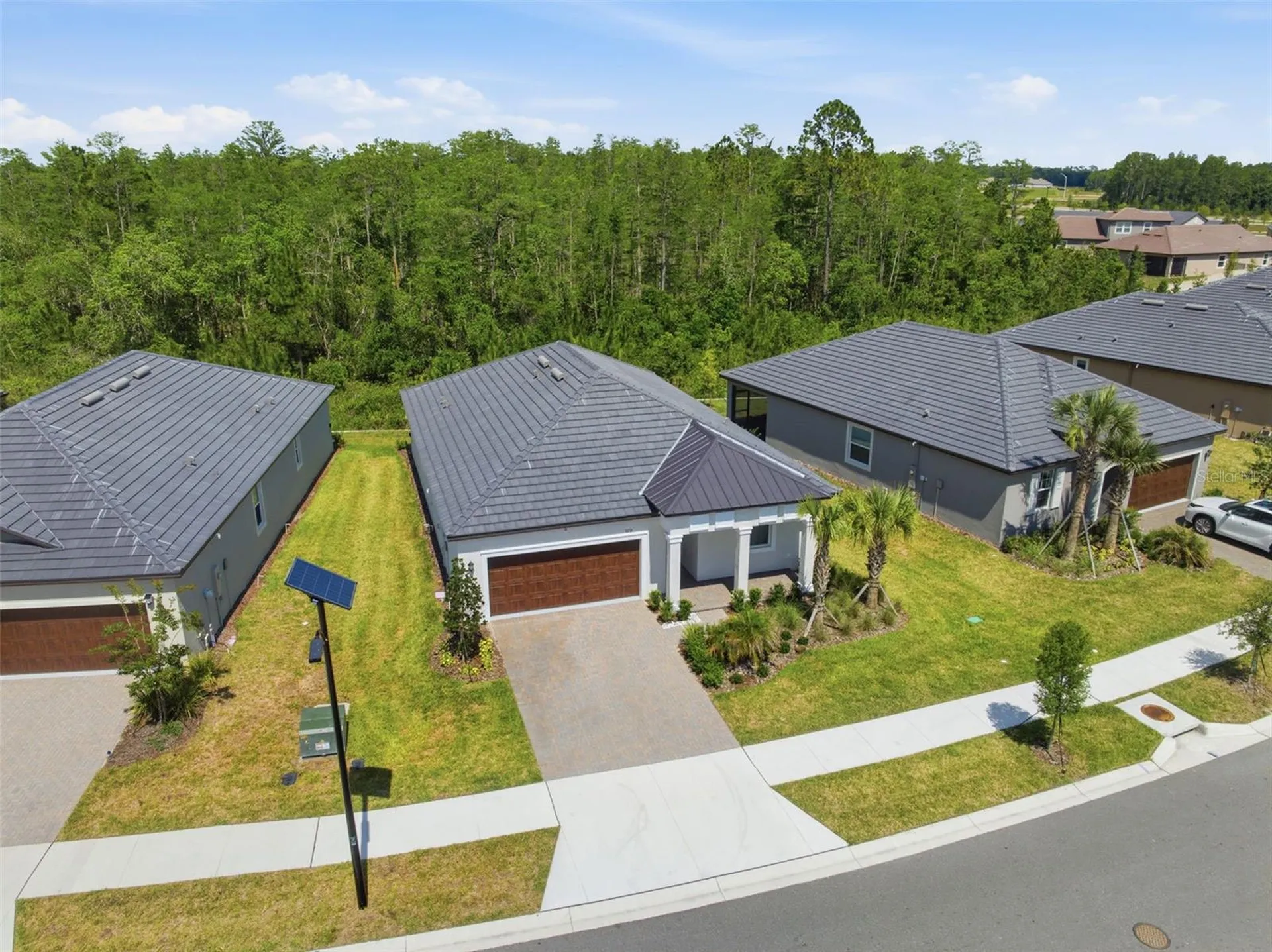 9776 Minnow Ray Drive Land O Lakes FL 34638