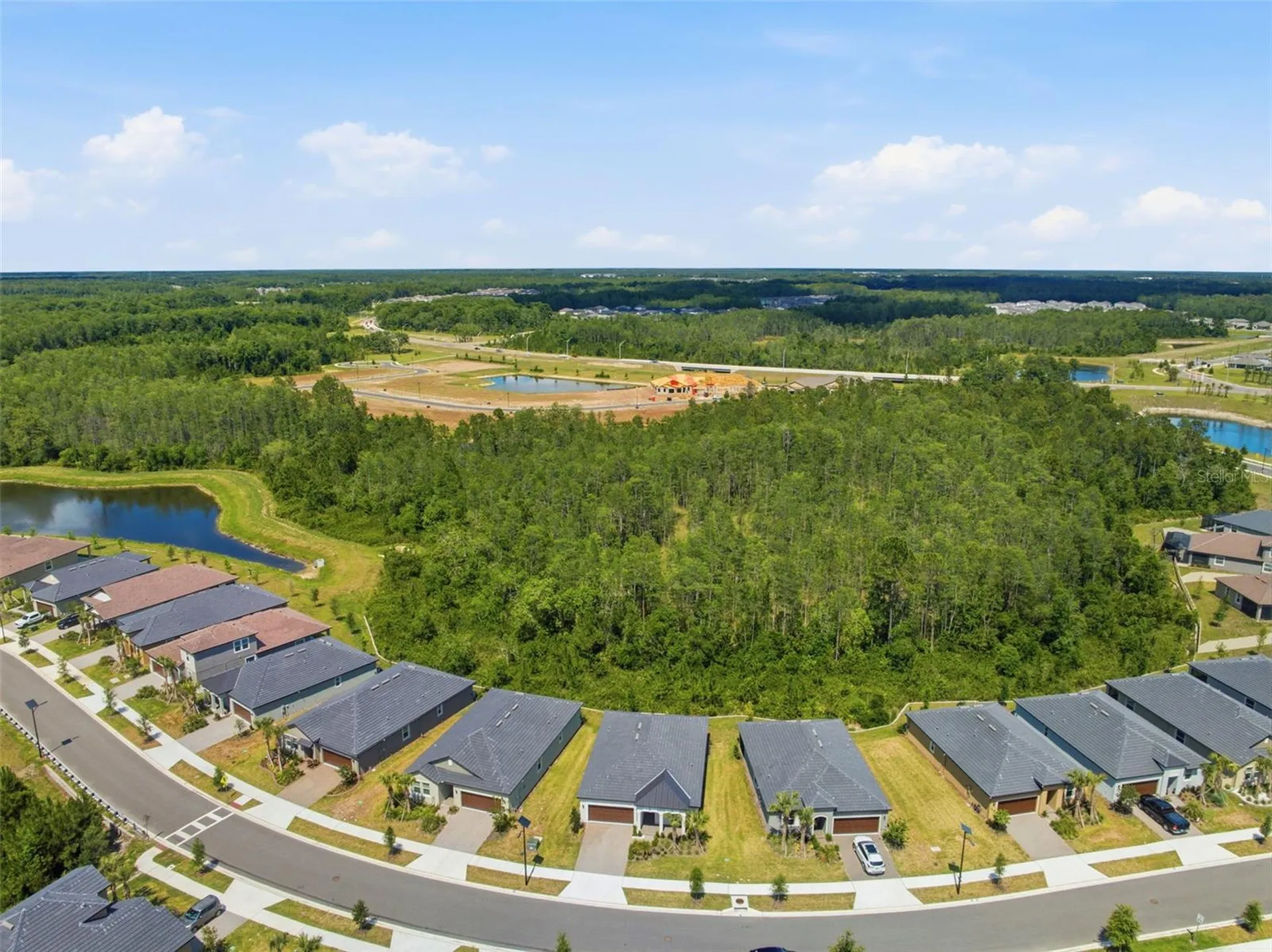 9776 Minnow Ray Drive Land O Lakes FL 34638