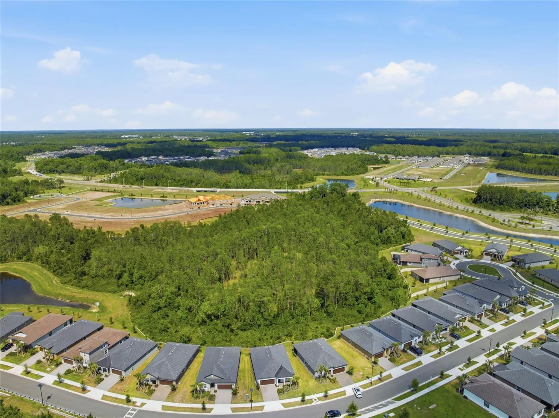 9776 Minnow Ray Drive Land O Lakes FL 34638