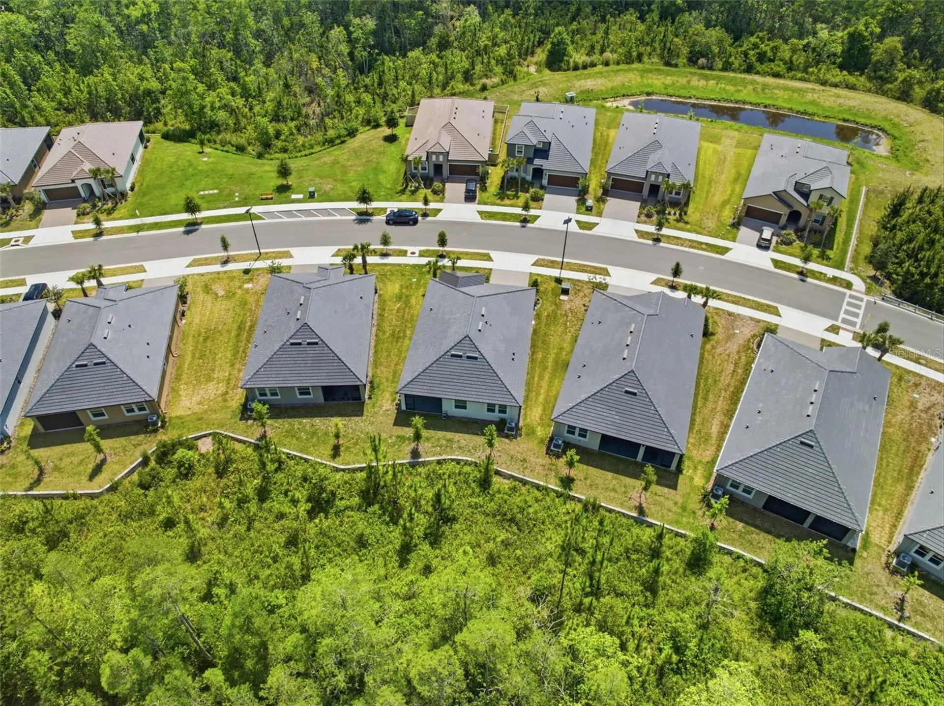 9776 Minnow Ray Drive Land O Lakes FL 34638