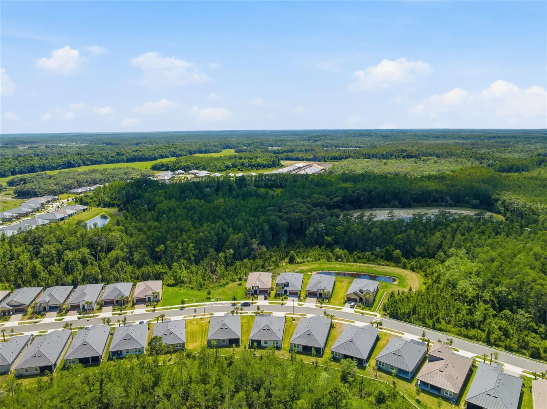 9776 Minnow Ray Drive Land O Lakes FL 34638