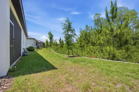 9776 Minnow Ray Drive Land O Lakes FL 34638
