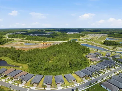 9776 Minnow Ray Drive Land O Lakes FL 34638