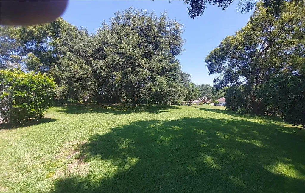 7316 Chesterhill Circle Mount Dora FL 32757