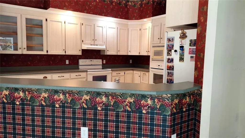 7316 Chesterhill Circle Mount Dora FL 32757