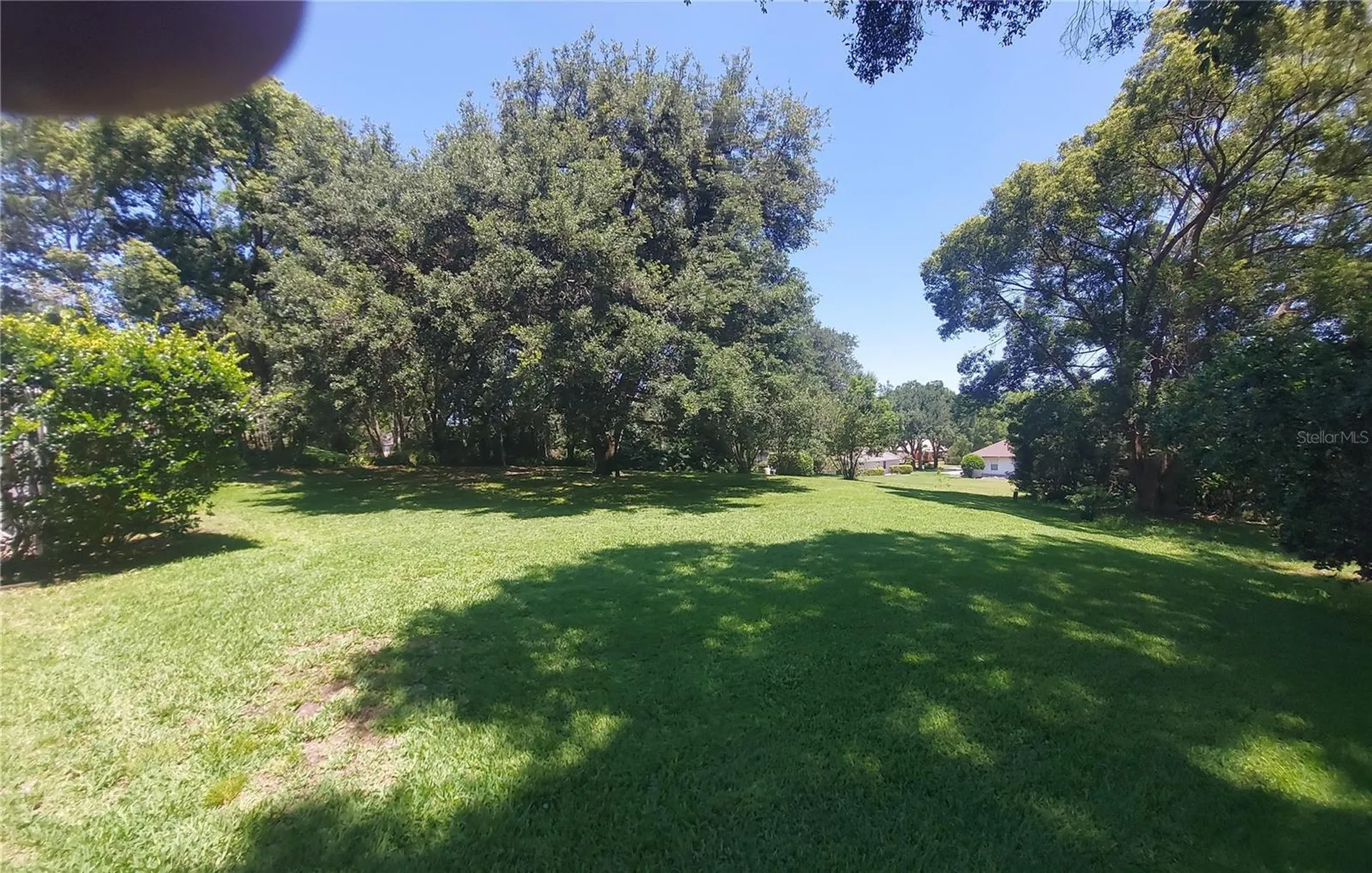 7316 Chesterhill Circle Mount Dora FL 32757